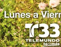 Buswrap Telemundos' Flor Salvaje, Telenovela